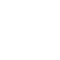 Vector