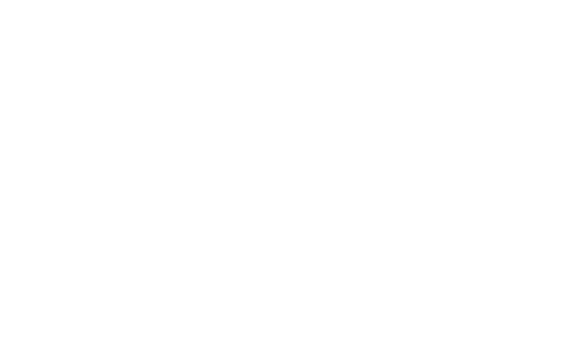 DIGI LOGISTIC LOGO